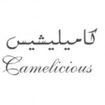 Camelicious Stylized in English and Arabic