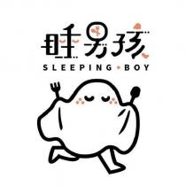 睡男孩 SLEEPING BOY