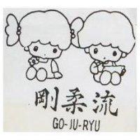 剛柔流及圖 GO – JU – RYU