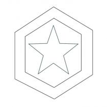 龜甲星印