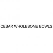 CESAR WHOLESOME BOWLS
