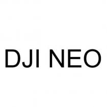 DJI NEO