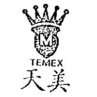 天美 TEMEX 及圖 