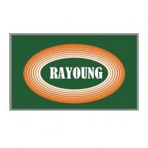 RAYOUNG 及圖