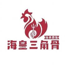 地表最強海皇三角骨及圖