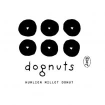 dognuts 狗拿吃及圖