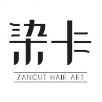 染卡 ZANCUT HAIR ART 設計字