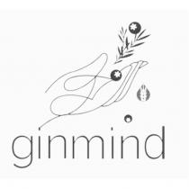 ginmind 及圖