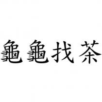 龜龜找茶