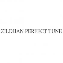 ZILDJIAN PERFECT TUNE