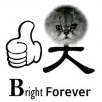 大 Bright Forever 及圖