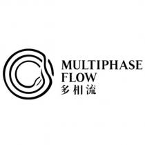 多相流 Multiphase Flow 及圖