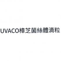 UVACO 樟芝菌絲體滴粒