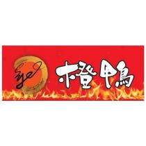 橙鴨