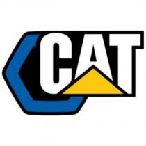 MODERN HEX - CAT AND DESIGN (COLOR)