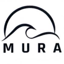 MURA 及圖