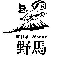 野馬 WILD HORSE 及圖