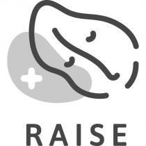 RAISE 及圖