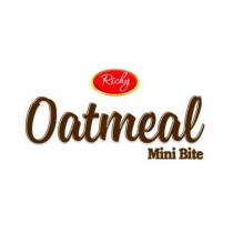 Richy Oatmeal Mini Bite