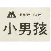 小男孩及圖 BABY BOY 