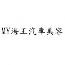 MY 海王汽車美容