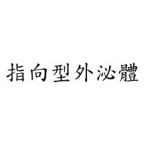 指向型外泌體