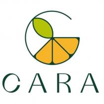 CARA 及圖