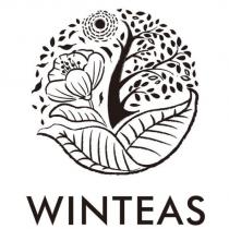 WINTEAS 及圖