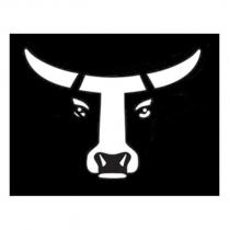Bull Head Design