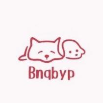 Bnqbyp 及圖