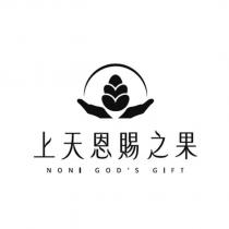 上天恩賜之果 NONI GOD'S GIFT 及圖