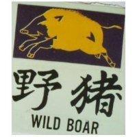 野豬及圖 WILD BOAR