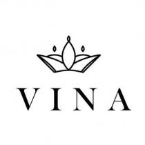 VINA 及圖