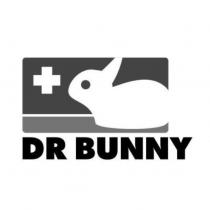 DR BUNNY 及圖