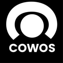 cowos 及圖