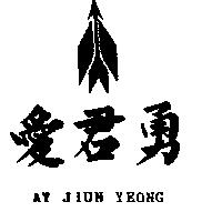 愛君勇 AY JIUN YEONG 及圖