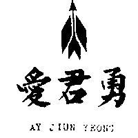 愛君勇及圖 AY JIUN YEONG