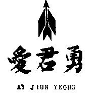 愛君勇及圖 AY JIUN YEONG