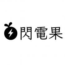 閃電果及圖