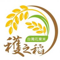 穫之稻 台灣花東米及圖