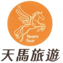 天馬旅遊 Team Tour 及設計圖