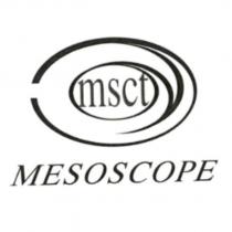 MSCT MESOSCOPE 及圖
