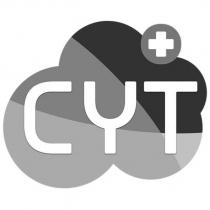CYT+及圖