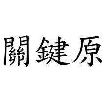 關鍵原