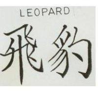 飛豹 LEOPARD 