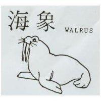 海象 WALRUS 及圖