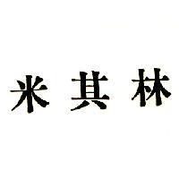 米其林 MICHELIN IN CHINESE CHARACTERS