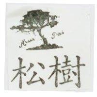 松樹及圖 KUANN PAUL