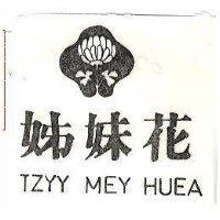 姊妹花及圖 TZYY MEY HUEA 
