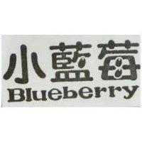 小藍莓 Blueberry